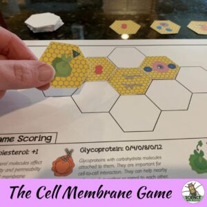 import placeholder for 1140